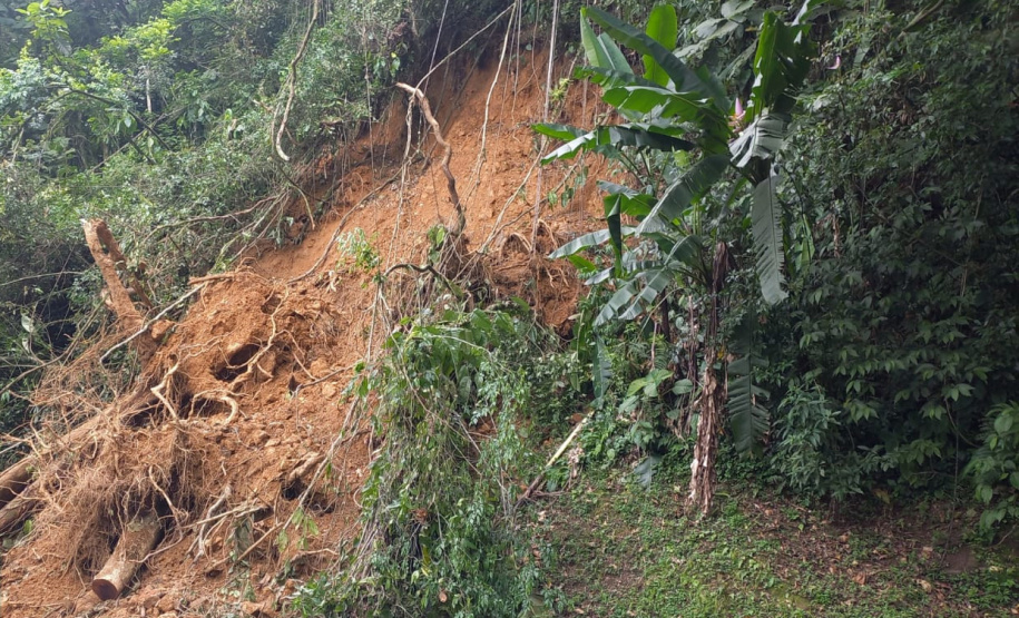 DER Graciosa retirada de raízes
