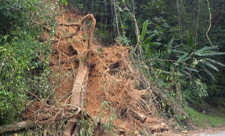DER Graciosa retirada de raízes