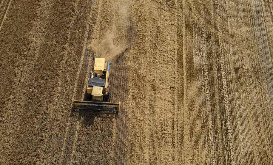Paraná encerra colheita de cevada, última cultura da safra de inverno
