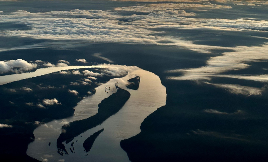 Na primeira fase do Rio Vivo, entre 2021 e 2022, foram soltos 1,1 milhão de peixes nativos no Iguaçu.