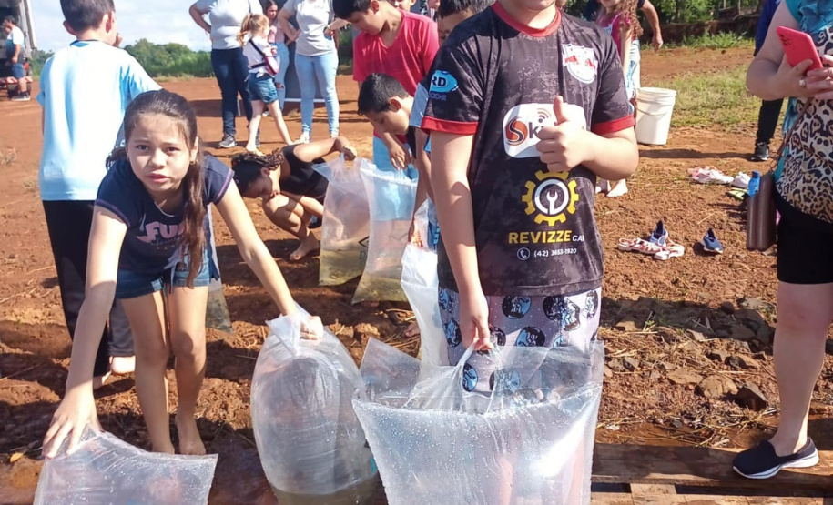 Na primeira fase do Rio Vivo, entre 2021 e 2022, foram soltos 1,1 milhão de peixes nativos no Iguaçu.