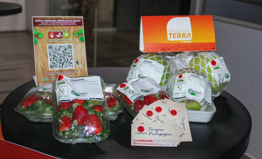 IDR ORGULHO DA TERRA