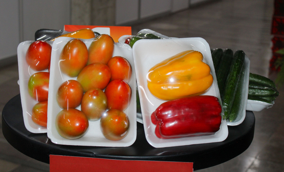 IDR ORGULHO DA TERRA