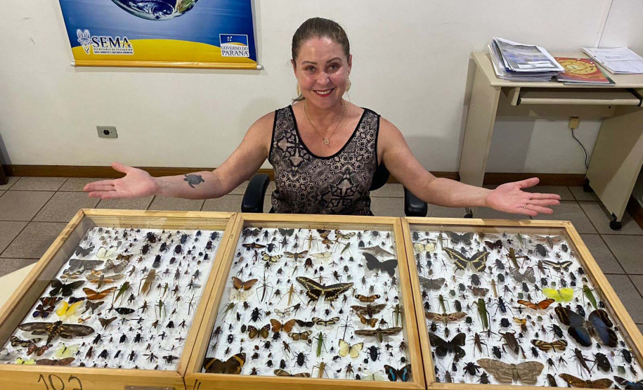 Flávia Ostapiv Noguchi é a chefe responsável pelo núcleo de educação ambiental da regional do IAT em Pato Branco.