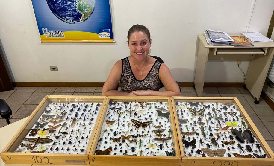 Flávia Ostapiv Noguchi é a chefe responsável pelo núcleo de educação ambiental da regional do IAT em Pato Branco.