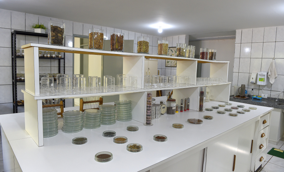 Paraná Mais Verde versão 2025 terá o início da reestruturação dos viveiros e laboratórios de sementes administrados pelo IAT