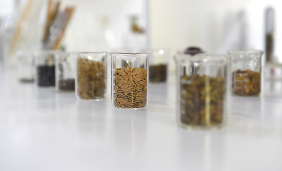 Paraná Mais Verde versão 2025 terá o início da reestruturação dos viveiros e laboratórios de sementes administrados pelo IAT