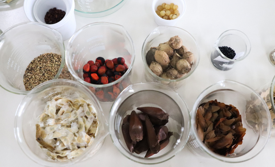 Paraná Mais Verde versão 2025 terá o início da reestruturação dos viveiros e laboratórios de sementes administrados pelo IAT