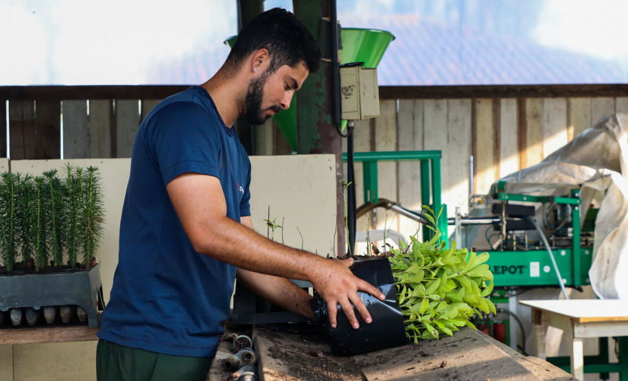 Paraná Mais Verde versão 2025 terá o início da reestruturação dos viveiros e laboratórios de sementes administrados pelo IAT