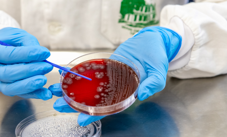 SESA Doenças do estômago e intestino já afetou mais de 389 mil paranaenses este ano