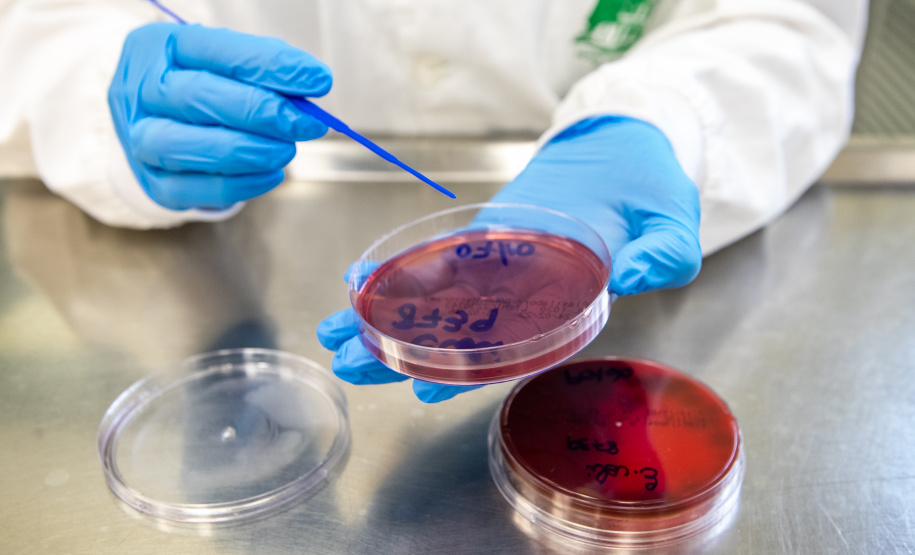 SESA Doenças do estômago e intestino já afetou mais de 389 mil paranaenses este ano