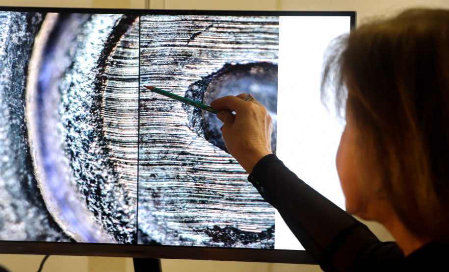 POLICIA CIENTIFICA MATCHES BALÍSTICOS