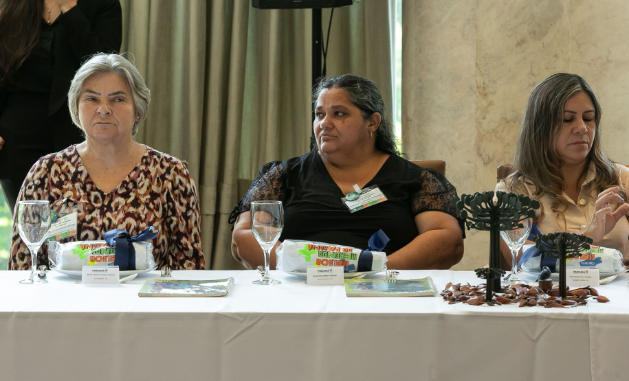 MERENDEIRAS CONCURSO