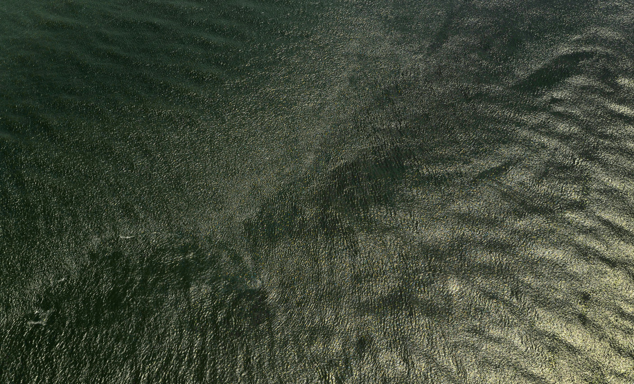 CBH do Alto Ivaí tem reunião para apresentação do relatório de atividades de 2024 e do plano de trabalho para 2025.