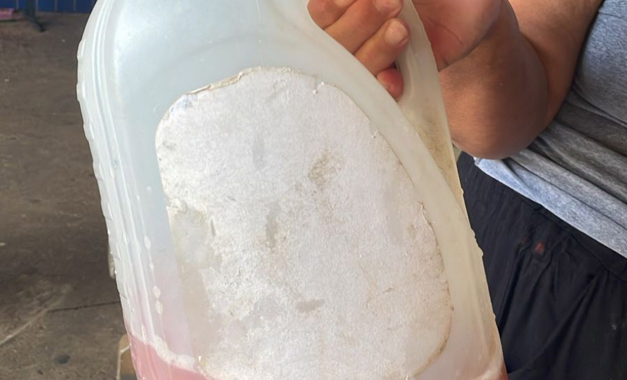 Jovens cientistas: alunos do Noroeste do Paraná conquistam prêmios da Fiocruz