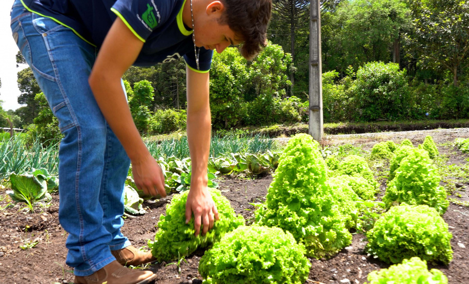GANHANDO O MUNDO AGRO