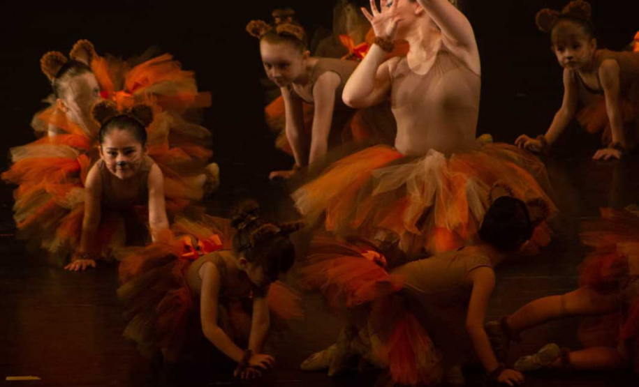 Escola Arte da Dança apresenta "A Fabulosa Loja de Brinquedos