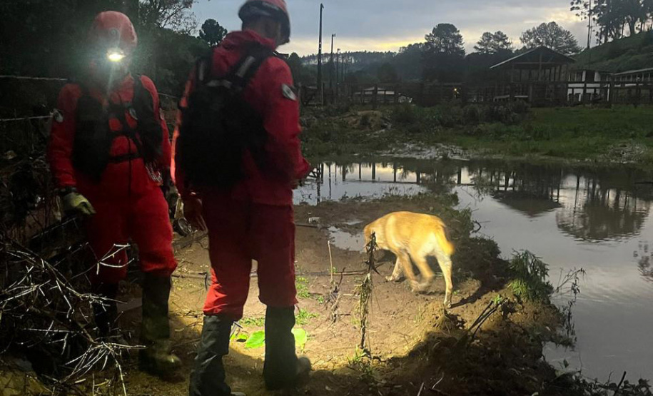 Corpo de Bombeiros encontra menina desaparecida em General Carneiro