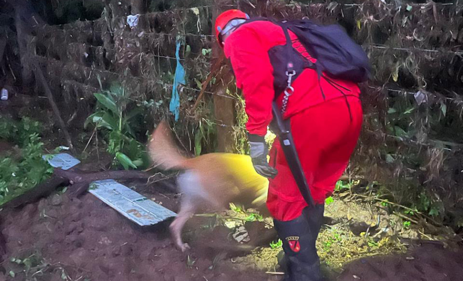 Corpo de Bombeiros encontra menina desaparecida em General Carneiro
