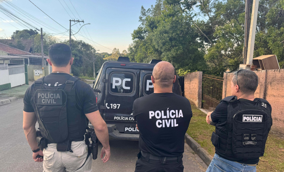 PCPR desmantela esquema para a produção de maconha em Piraquara