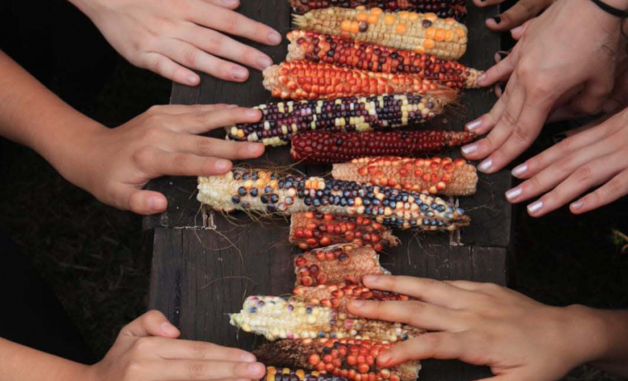 Escola sustentável: Colégio Leôncio Correia promove festival de empreendedorismo e inaugura Parque Naturalizado