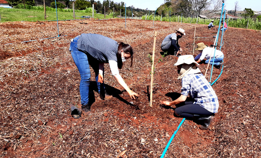 UEM PRODUÇÃO ORGÂNICA COMPLETA 20 ANOS