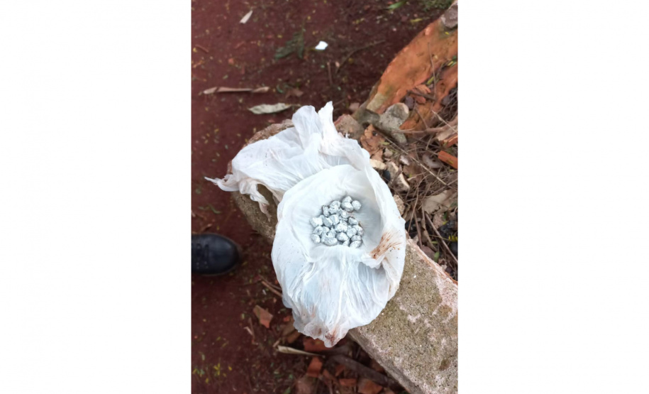 PCPR e PMPR prendem 10 pessoas em flagrante por tráfico durante operação no Oeste do Estado