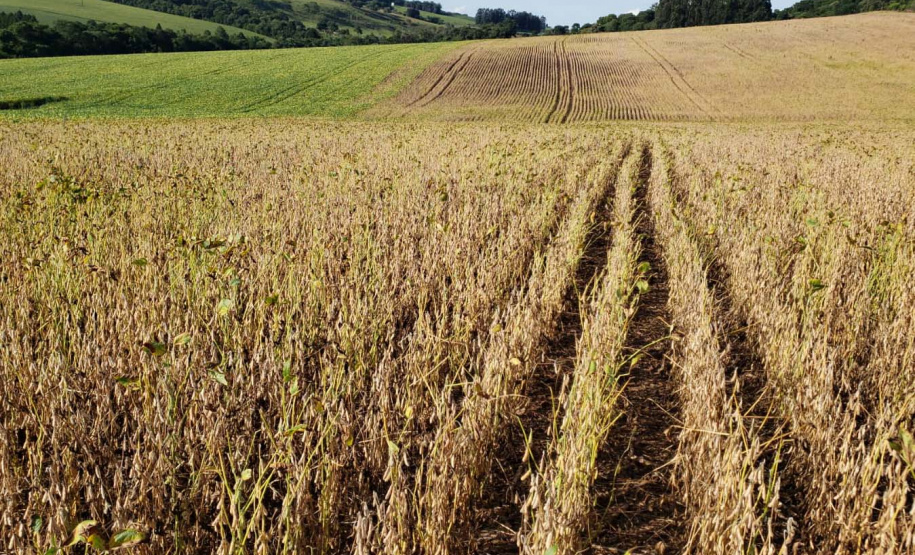Os municípios do Paraná em situação de emergência por adversidades climáticas contaram em 2024 com a ajuda do Fundo Estadual para Calamidade Pública (Fecap). Ao todo 15 prefeituras receberam valores entre R$ 35 mil e R$ 6,7 milhões para auxiliar na assistência às famílias afetadas por enxurrada ou pela estiagem que levou o governador do Estado a decretar situação de emergência em todo Paraná.