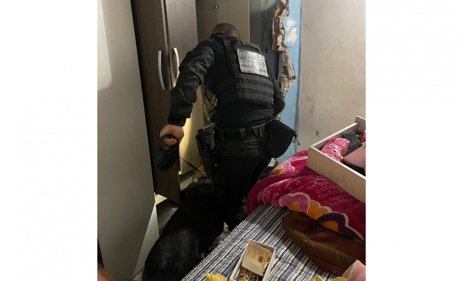 PCPR e PMPR prendem 10 pessoas em flagrante por tráfico durante operação no Oeste do Estado