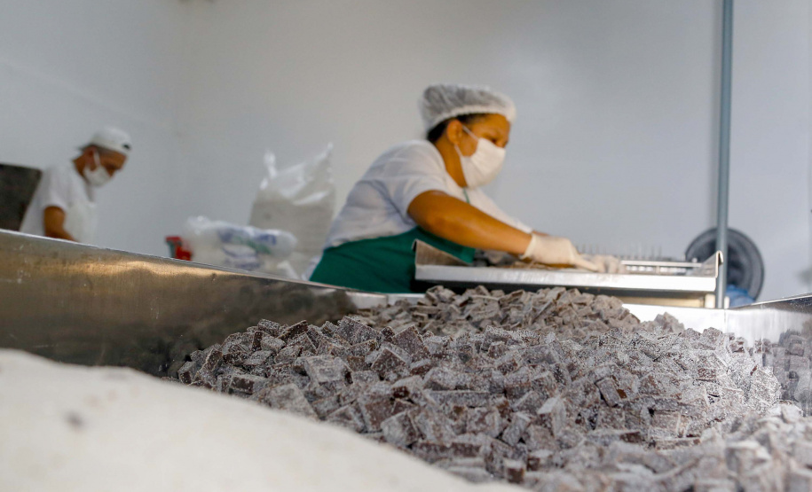 ROTA CORAÇÃO DA MATA ATLANTICA