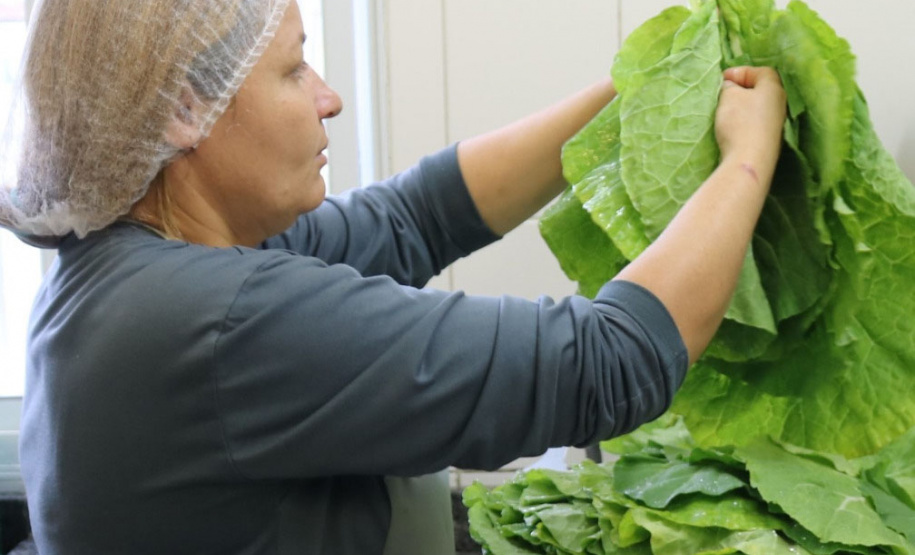 Infraestrutura, alimentação e mais: Educação do Paraná avança com investimentos e projetos inovadores