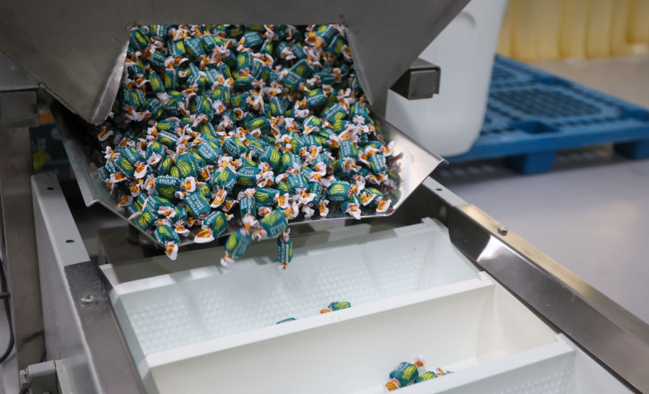 ROTA CORAÇÃO DA MATA ATLANTICA