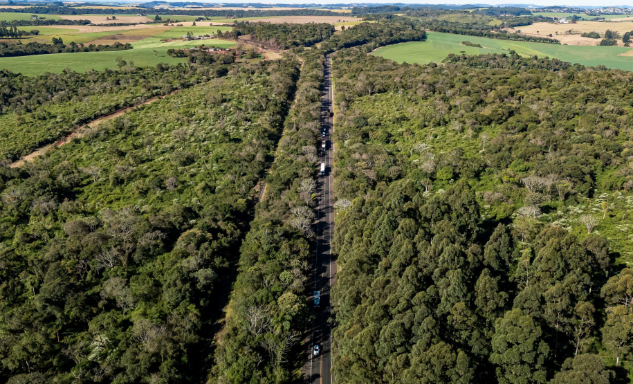 Lote 6 das concessões terá duplicação de Cascavel a Nova Laranjeiras