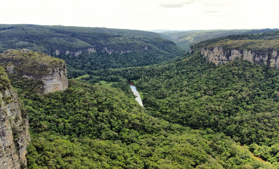 IAT INDENIZAÇÃO PETROBRAS