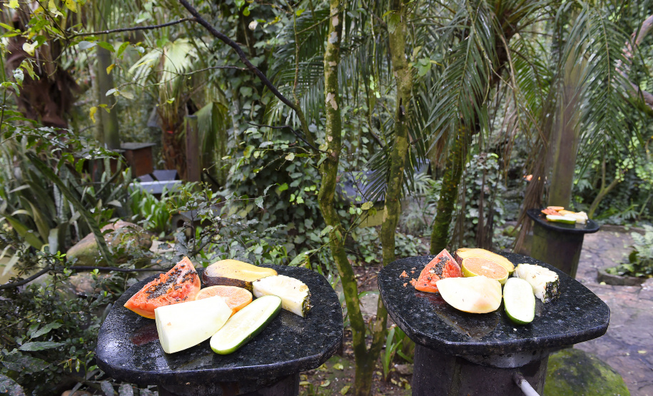 Banco de alimentos: parceria entre IAT e Ceasa ajuda a matar a fome de animais silvestres