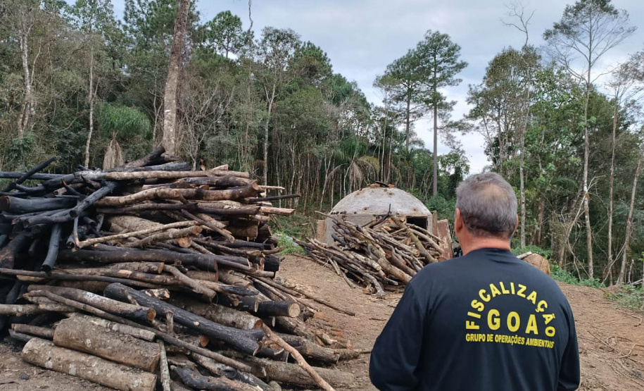 Multa por crimes ambientais cresce 24% no Paraná entre janeiro e novembro de 2024
