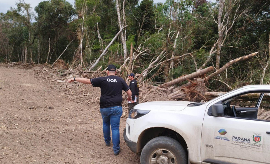 Multa por crimes ambientais cresce 24% no Paraná entre janeiro e novembro de 2024