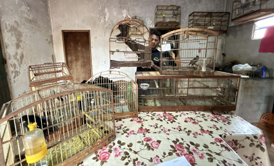 IAT fecha 2024 com 3.735 atendimentos à fauna silvestre no Paraná