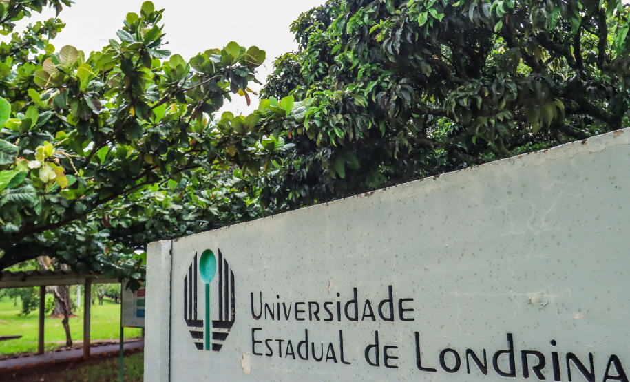 Projeto da UEL recebe investimento federal para pesquisa com materiais biodegradáveis