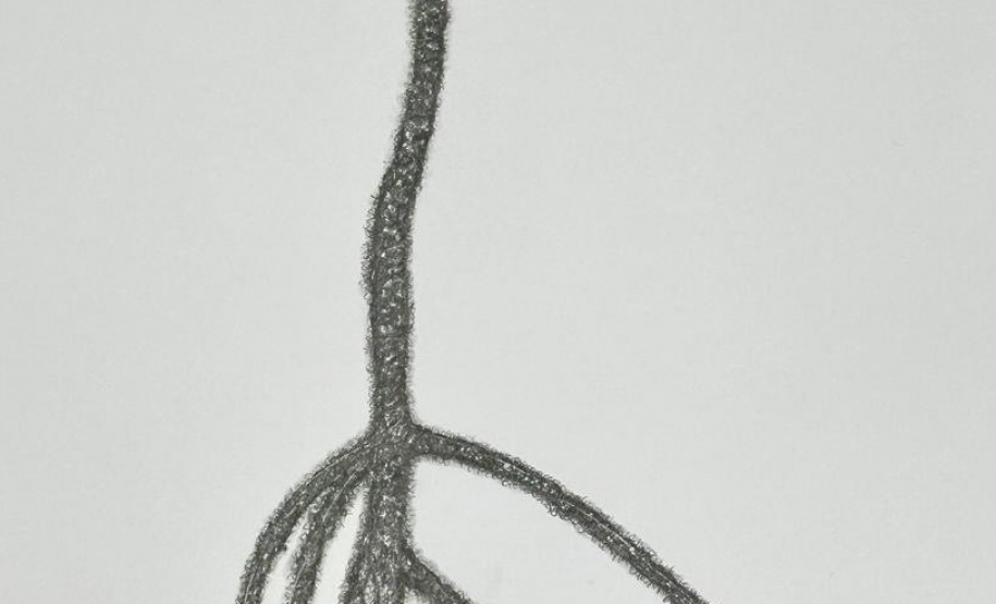 Segredos Desvelados:O Invisível dos Corpos em Liberdade e Motivos ficarão abertas ao público até 31 de janeiro