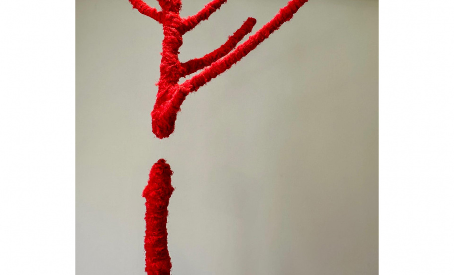 Segredos Desvelados:O Invisível dos Corpos em Liberdade e Motivos ficarão abertas ao público até 31 de janeiro