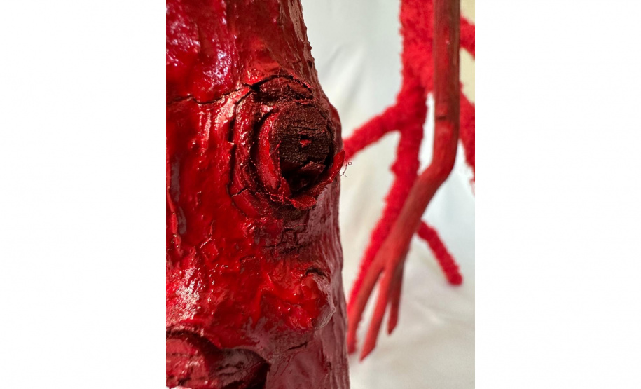 Segredos Desvelados:O Invisível dos Corpos em Liberdade e Motivos ficarão abertas ao público até 31 de janeiro