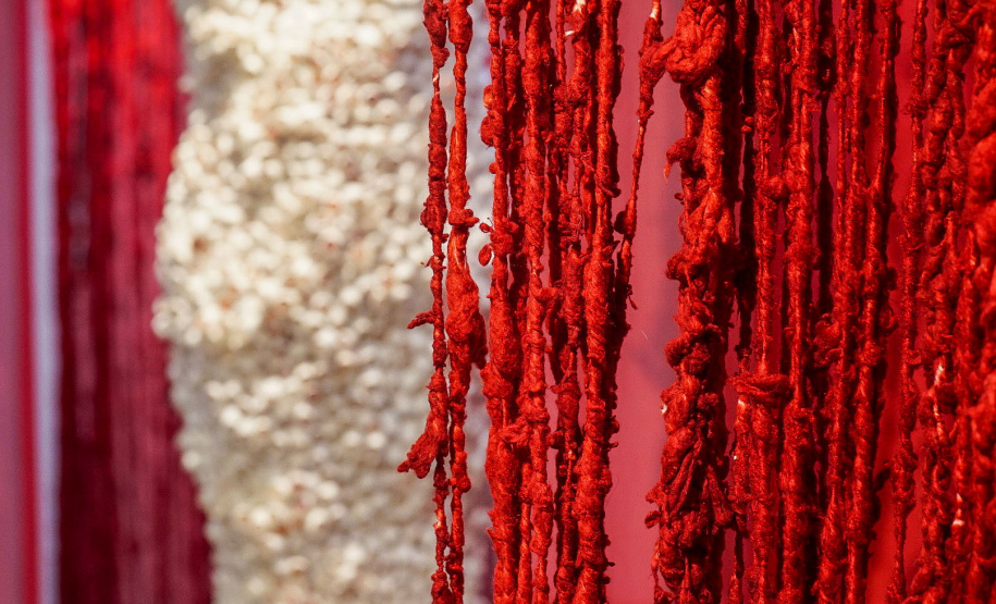 Segredos Desvelados:O Invisível dos Corpos em Liberdade e Motivos ficarão abertas ao público até 31 de janeiro