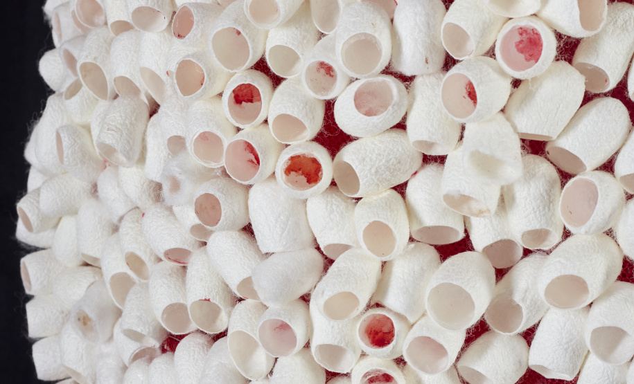 Segredos Desvelados:O Invisível dos Corpos em Liberdade e Motivos ficarão abertas ao público até 31 de janeiro