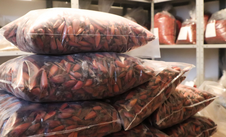 IAT INDENIZAÇÃO PETROBRAS