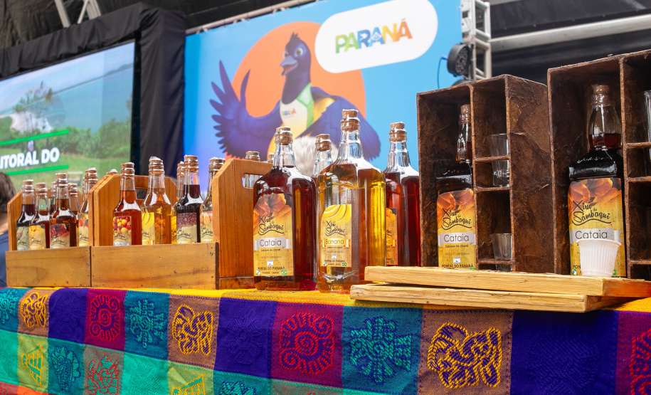 Paranaguá, 27 de dezembro de 2024 - O porto de Paranaguá recebe novo navio com turistas.