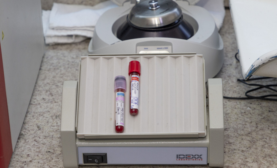 Com três estabelecimentos certificadas em 2024, Tecpar finaliza projeto-piloto para mercado veterinário