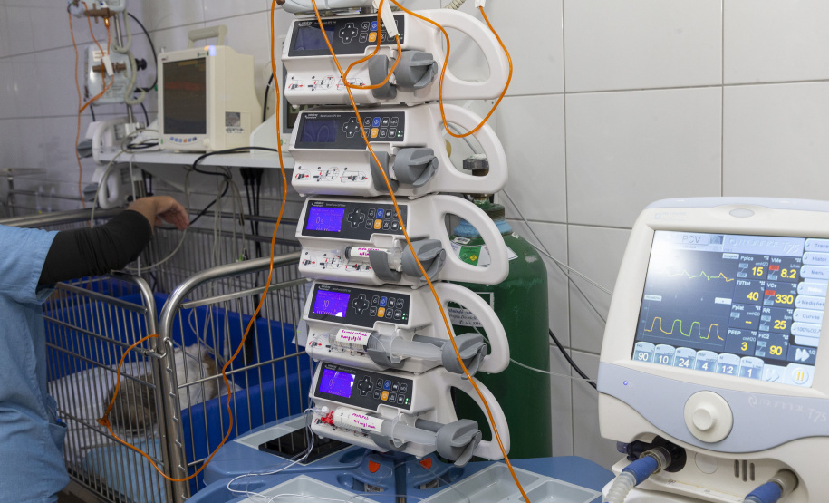 Com três estabelecimentos certificadas em 2024, Tecpar finaliza projeto-piloto para mercado veterinário