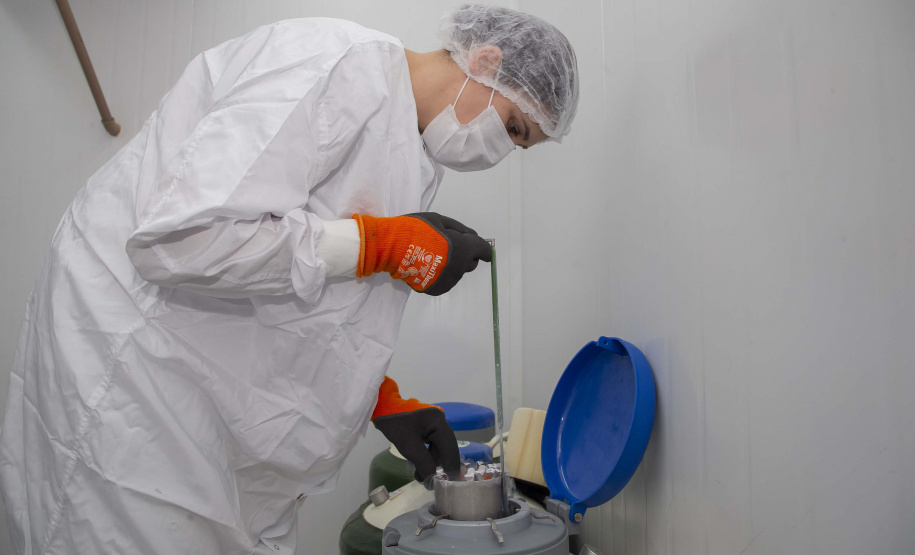 Tecpar fortaleceu ações para apoiar sanidade animal em todo o país