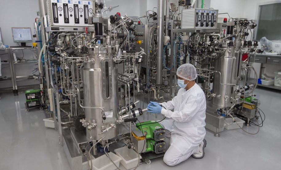 Tecpar fortaleceu ações para apoiar sanidade animal em todo o país